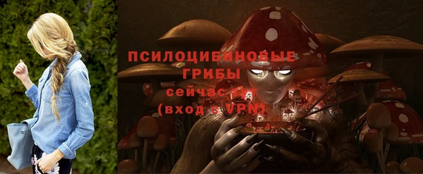 a pvp Беломорск