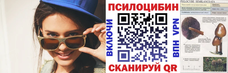 Галлюциногенные грибы Cubensis Купить закладки Благодарный